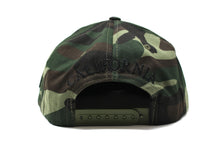 Load image into Gallery viewer, $100 Benjamin Bear Cotton Snapback Hat
